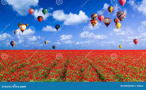 Balloons Floating Over A Poppy Field Stock Photo Image Of Clouds