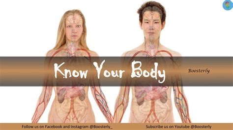 Know Your Body अपने शरीर के अंगों को जानें The Human Body Anatomy