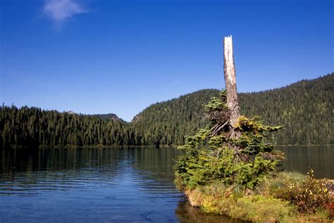 Loving Washington State: Mowich Lake in Mount Rainier National Park