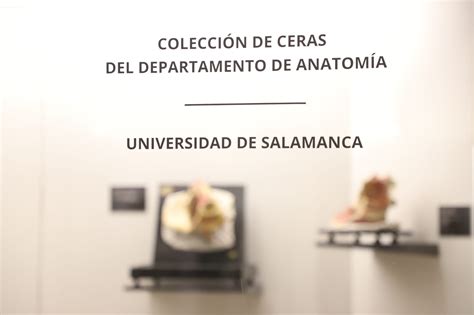 La exposición de figuras de cera y escayola transporta a la Facultad