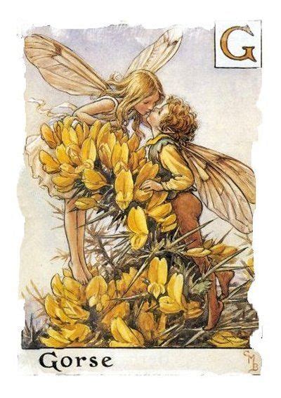 The Ogham Trees Gorse Onn Cicely Mary Barker Fairy Magic Fairy