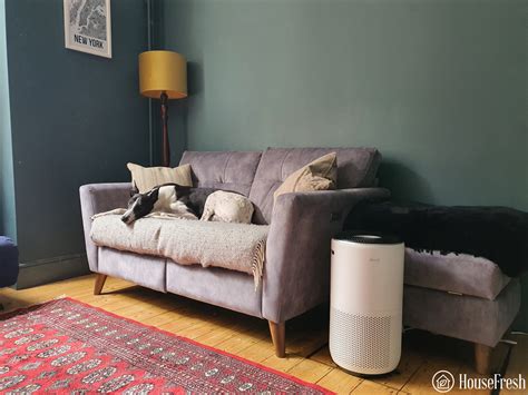 The Best Levoit Air Purifiers We Have Tested Housefresh