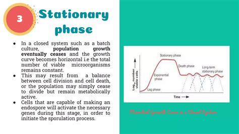 Microbial Growth curve | PPT