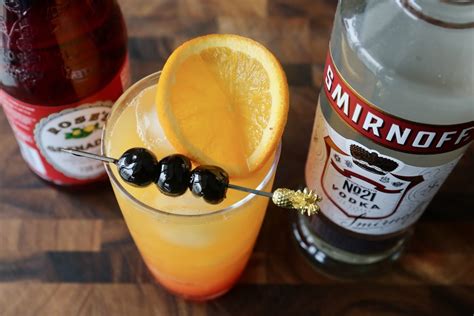 Vodka Sunrise Cocktail Drink Recipe Dobbernationloves