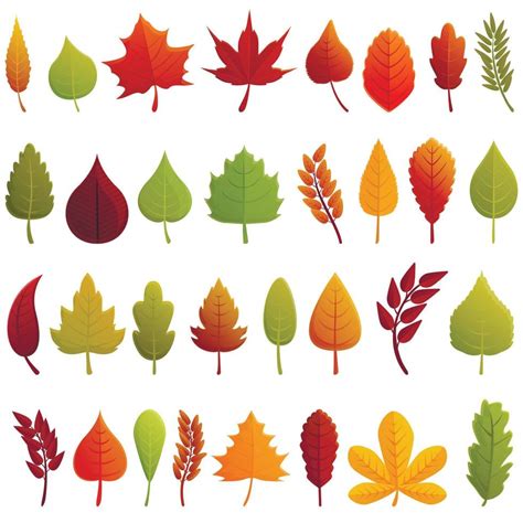 Autumn leaves icons set, cartoon style 8944347 Vector Art at Vecteezy