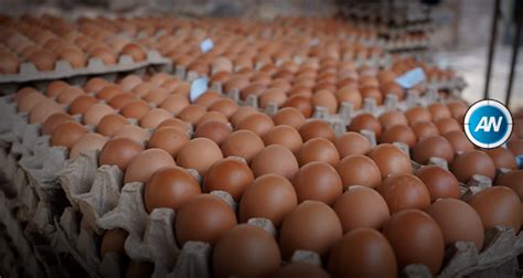 Cada semana ingresan al Perú 3 6 millones de huevos de contrabando