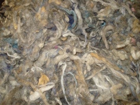 Weber Wools Products Waste Wool Scoured Wool Sheep Manure