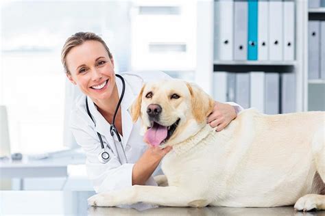 Akc Canine Health Foundation Celebrates 25th Anniversary In 2020