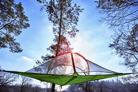 The Hanging Hammock Tent Ultimate Guide Beloved Green