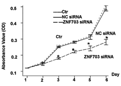 Znf703 Promotes Tumor Cell Proliferation And Invasion And Predicts Poor