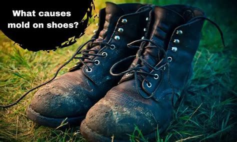 What Causes Mold On Shoes 8 Ways To Prevent Mold Shoes Matrix