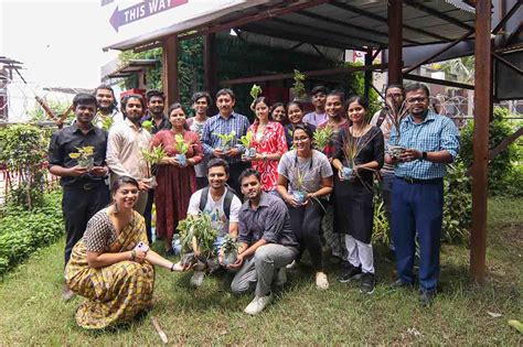 Tree Plantation Drive By NSS Unit ILEAD