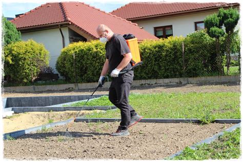 Chwasty Na Ziemi Pod Trawnik Z Ogrodem Na Ty