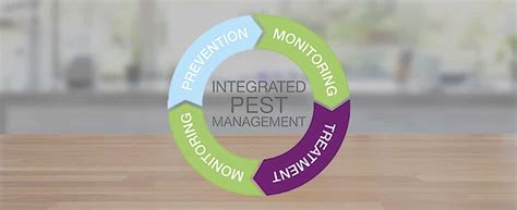 What Is Integrated Pest Management Ipm Pests In The Home