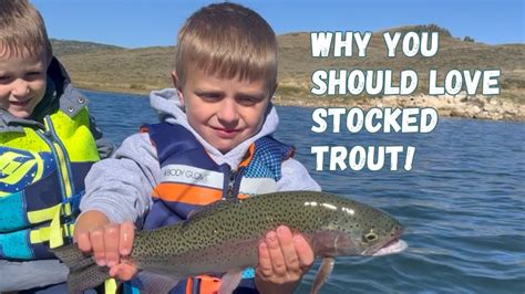 How To Catch More Rainbow Trout Youtube