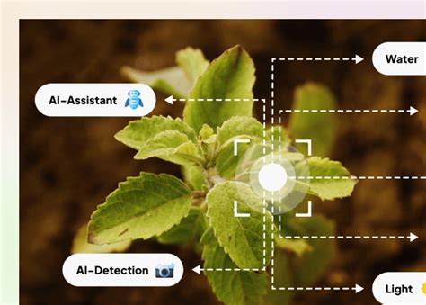 Smart Farming With Deep Learning Technology Innovatics