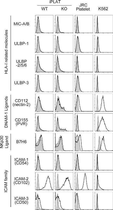 Figure 1 From IPSC Derived Platelets Depleted Of HLA Class I Are Inert