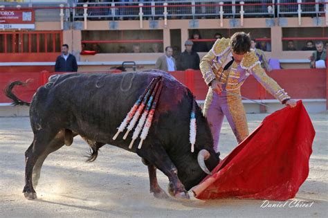 Saint Martin De Crau Une Oreille Pour Lamelas Tertulias