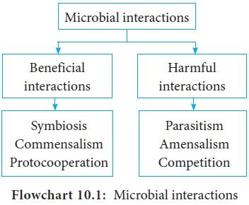 Microbial Interactions Soil Microbiology