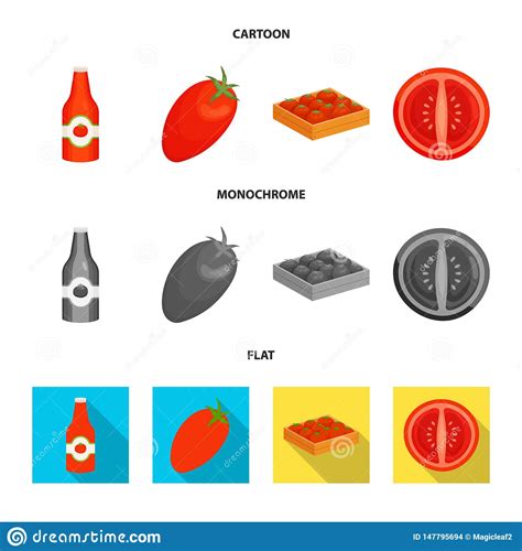 Dise O Del Vector De Muestra Vegetal Y Deliciosa Fije Del Ejemplo N