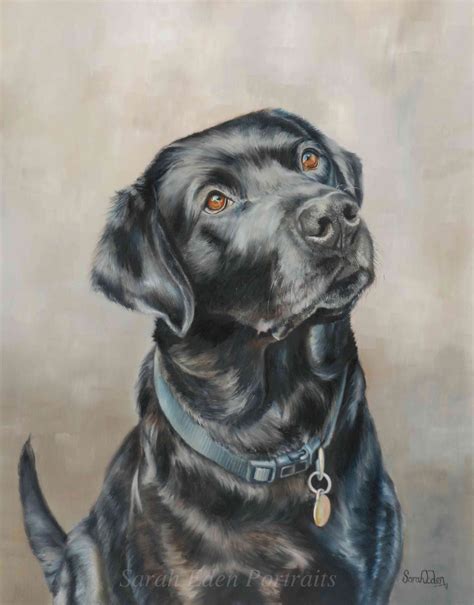 Black Labrador Painting By Sarah Eden Oilpainting Animalart Dogart