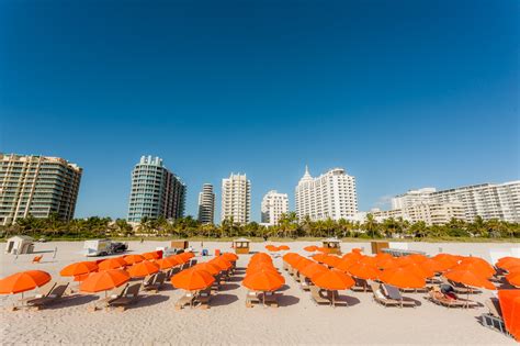 The Royal Palm South Beach Miami | The Miami Guide