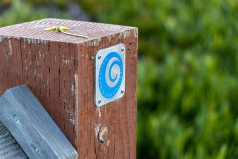 MONTEREY BAY COASTAL TRAIL - Updated January 2025 - 545 Photos & 109 ...