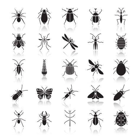 Insekten Werfen Schatten Schwarze Glyphen Symbole Gesetzt Fehler