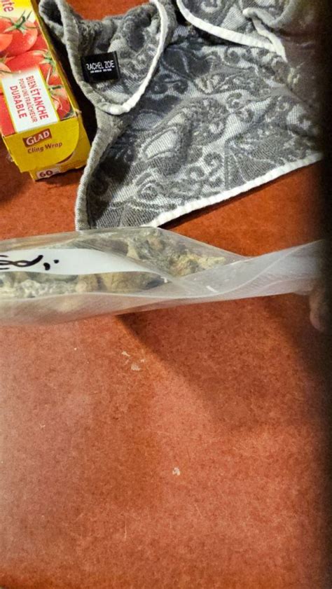 Jedi Mind Fuck Canada Shrooms