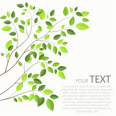 Beautiful Green Tree on a White Background Vector Illustration 2964372 ...