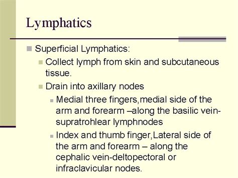 Venous Drainage And Lymphatics Of The Upper Limb