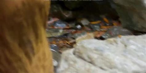 Free Baremaidens Porn Videos Sex Movies TNAFLIX