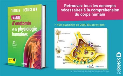 Amazon Fr Manuel D Anatomie Et De Physiologie Humaines Tortora