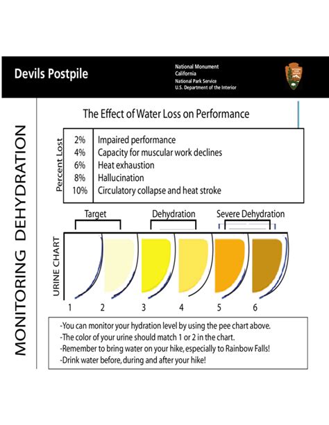 Urine Color Dehydration Monitor Chart Free Download