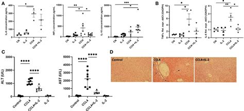 Frontiers Il Availability Regulates The Tissue Specific Phenotype