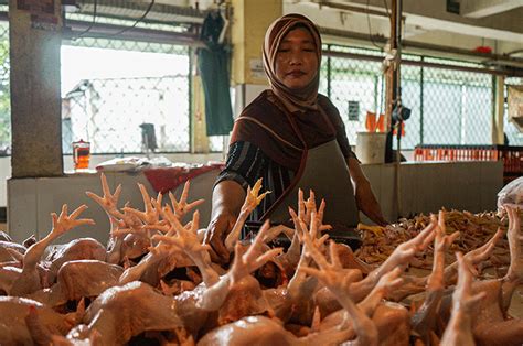 Jelang Ramadan Harga Daging Ayam Tembus Rp35000 Per Kg Di Pasar