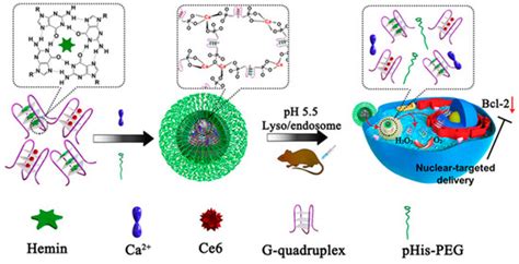 Biomolecules Free Full Text Dna Nanodevice Based Drug Delivery Systems