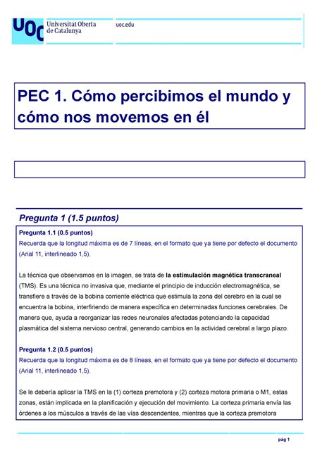 Pec Psicologia Fisiologica Entregar Pec C Mo Percibimos El Mundo