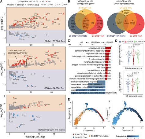 Remodeling Of The Immune And Stromal Cell Compartment By PD 1 Blockade