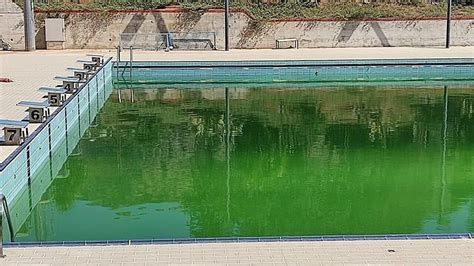 Tracce Di Legionella Nell Acqua La Piscina Comunale Chiude Il