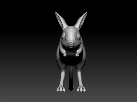 Stl File Jerboa Rodents 3d Print Jerboa 3d Model For 3d Print 🐠 ・3d