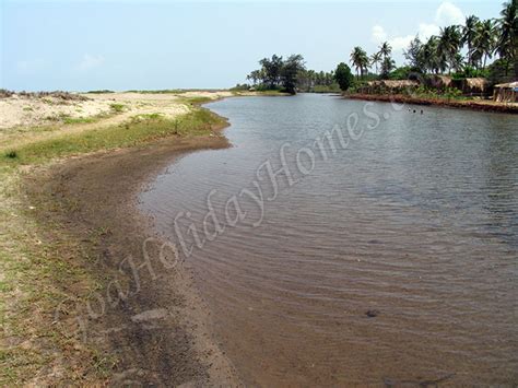 Mandrem Beach in Goa, Goa Mandrem beach info, Goa Beaches, Hotels, places to eat around Mandrem ...