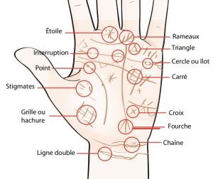 Chiromancie Voici Comment Lire Sa Ligne De Vie