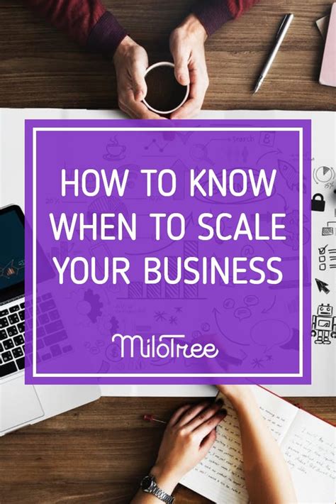 How To Know When To Scale Your Business Milotree