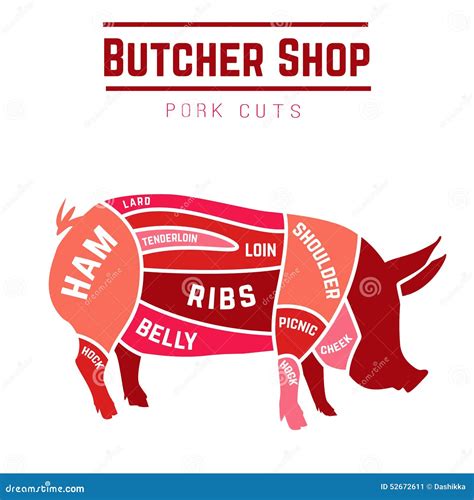 Cuts of pork stock vector. Illustration of food, preparation - 52672611