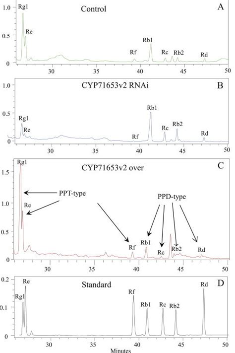 Ginsenoside Chromatogram Of Extracts From Nontransgenic And Transgenic