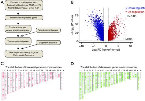 The Ec Data Sets Were Organized And Degs Were Explored Based On Data