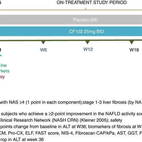 Overview Of The Randomised Doubleblind Placebocontrolled Phase 2b