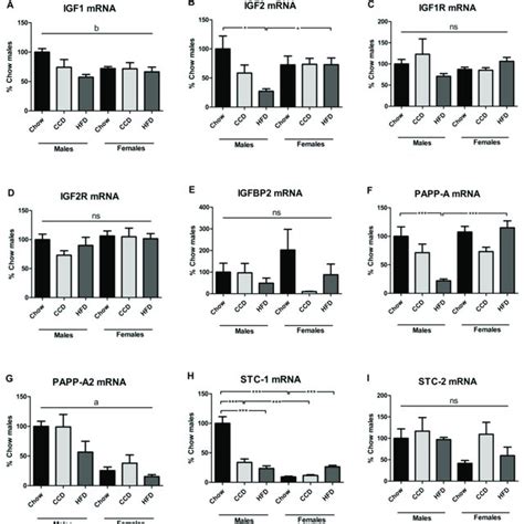 Relative Gene Expression Of The Insulin Like Growth Factor Igf System Download Scientific