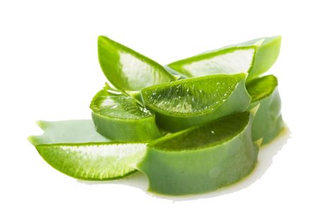 Aloe Vera Png Transparent Images Pictures Photos